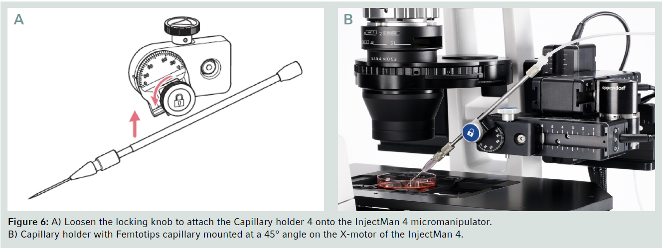 eLabProtocols - 47. Step-by-Step Guide: Microinjection of Adherent Cells  with the Eppendorf InjectMan® 4 and FemtoJet® 4